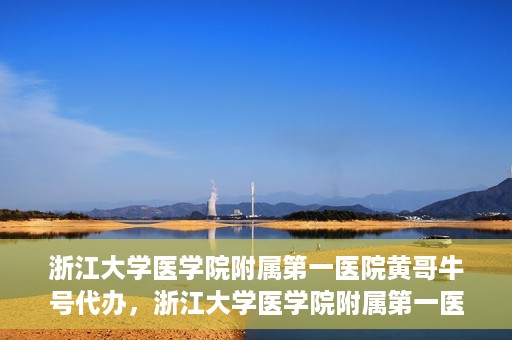 浙江大学医学院附属第一医院黄哥牛号代办，浙江大学医学院附属第一医院黄哥牛号业务代办全攻略
