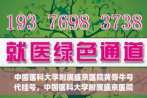 中国医科大学附属盛京医院黄哥牛号代挂号，中国医科大学附属盛京医院黄哥牛号代挂号背后的故事与真相揭秘