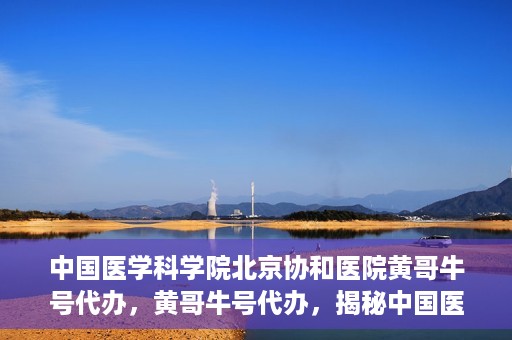 中国医学科学院北京协和医院黄哥牛号代办，黄哥牛号代办，揭秘中国医学科学院北京协和医院背后的故事