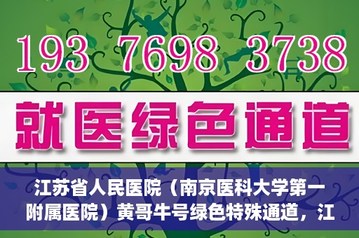 江苏省人民医院（南京医科大学第一附属医院）黄哥牛号绿色特殊通道，江苏省人民医院绿色特殊通道，黄哥牛号的医疗速度与温情服务