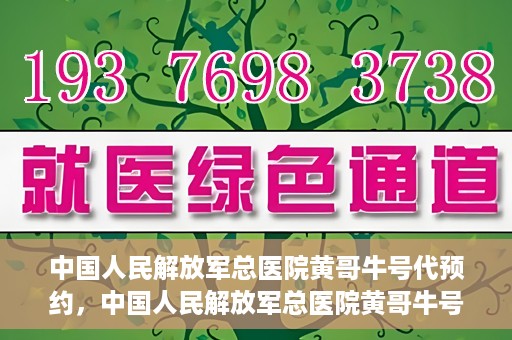 中国人民解放军总医院黄哥牛号代预约，中国人民解放军总医院黄哥牛号预约服务解析