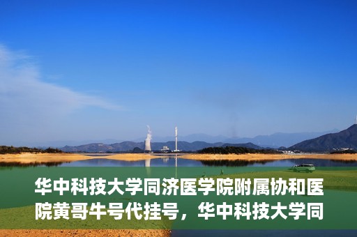 华中科技大学同济医学院附属协和医院黄哥牛号代挂号，华中科技大学同济医学院附属协和医院黄哥牛号代挂号服务详解