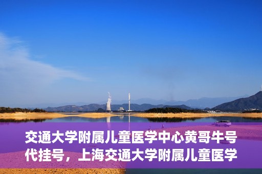 交通大学附属儿童医学中心黄哥牛号代挂号，上海交通大学附属儿童医学中心黄哥牛号代挂号解析与攻略