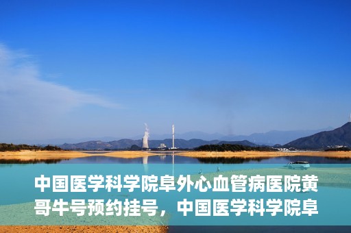 中国医学科学院阜外心血管病医院黄哥牛号预约挂号，中国医学科学院阜外心血管病医院黄哥牛号预约挂号指南，轻松挂号，健康无忧！