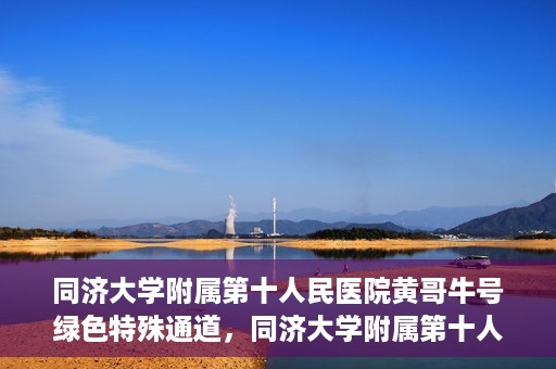 同济大学附属第十人民医院黄哥牛号绿色特殊通道，同济大学附属第十人民医院黄哥牛号，绿色特殊通道开启健康之门