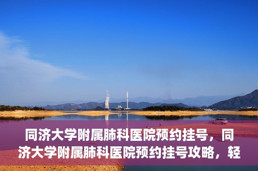 同济大学附属肺科医院预约挂号，同济大学附属肺科医院预约挂号攻略，轻松挂号，健康无忧