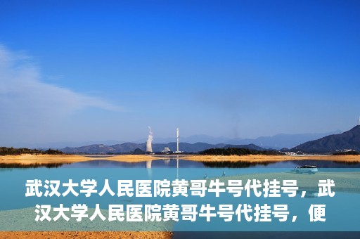 武汉大学人民医院黄哥牛号代挂号，武汉大学人民医院黄哥牛号代挂号，便捷就医背后的故事