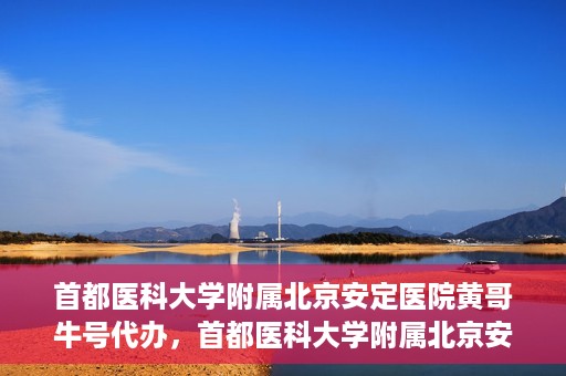 首都医科大学附属北京安定医院黄哥牛号代办，首都医科大学附属北京安定医院，黄哥牛号代办服务解析