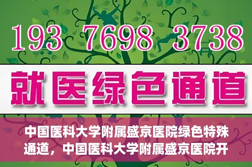 中国医科大学附属盛京医院绿色特殊通道，中国医科大学附属盛京医院开通绿色特殊通道，助力患者快速就医