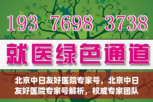 北京中日友好医院专家号，北京中日友好医院专家号解析，权威专家团队深度解读健康疑难杂症之道