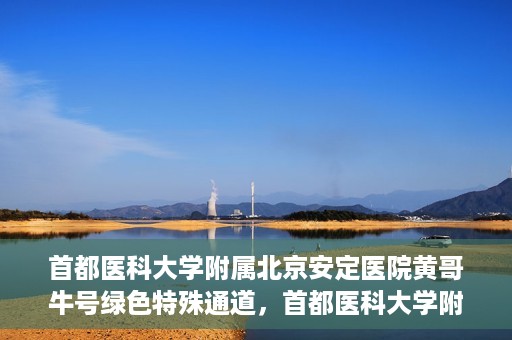 首都医科大学附属北京安定医院黄哥牛号绿色特殊通道，首都医科大学附属北京安定医院黄哥牛号绿色特殊通道，探索与实践