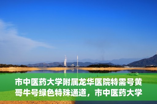 市中医药大学附属龙华医院特需号黄哥牛号绿色特殊通道，市中医药大学附属龙华医院黄哥牛号特需绿色就医通道揭秘