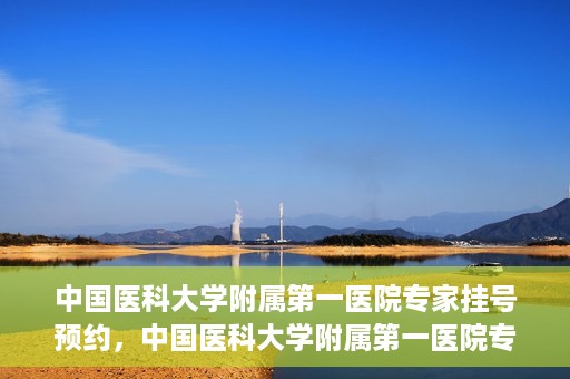 中国医科大学附属第一医院专家挂号预约，中国医科大学附属第一医院专家挂号预约攻略，一站式解决您的就医难题