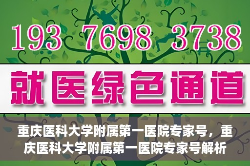 重庆医科大学附属第一医院专家号，重庆医科大学附属第一医院专家号解析，专业团队与尖端医疗的完美结合