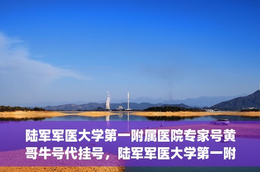 陆军军医大学第一附属医院专家号黄哥牛号代挂号，陆军军医大学第一附属医院专家黄哥挂号攻略，解读牛号代挂号背后的秘密