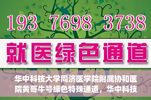 华中科技大学同济医学院附属协和医院黄哥牛号绿色特殊通道，华中科技大学同济医学院附属协和医院黄哥牛号绿色就医特殊通道揭秘