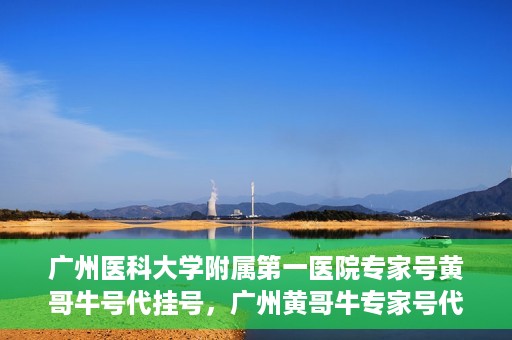 广州医科大学附属第一医院专家号黄哥牛号代挂号，广州黄哥牛专家号代挂号服务解析，专业医疗资源的便捷获取之道