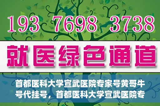 首都医科大学宣武医院专家号黄哥牛号代挂号，首都医科大学宣武医院专家黄哥牛号代挂号解读，权威医疗资源的深度剖析