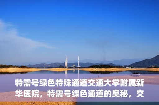 特需号绿色特殊通道交通大学附属新华医院，特需号绿色通道的奥秘，交通大学附属新华医院的探索与实践
