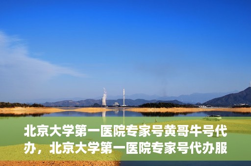 北京大学第一医院专家号黄哥牛号代办，北京大学第一医院专家号代办服务揭秘，黄哥牛号助您轻松预约专家资源