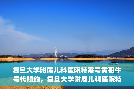 复旦大学附属儿科医院特需号黄哥牛号代预约，复旦大学附属儿科医院特需号预约服务解析，黄哥牛号代预约详解