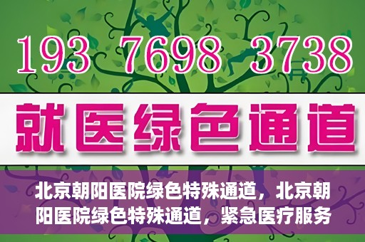 北京朝阳医院绿色特殊通道，北京朝阳医院绿色特殊通道，紧急医疗服务的速度与温情