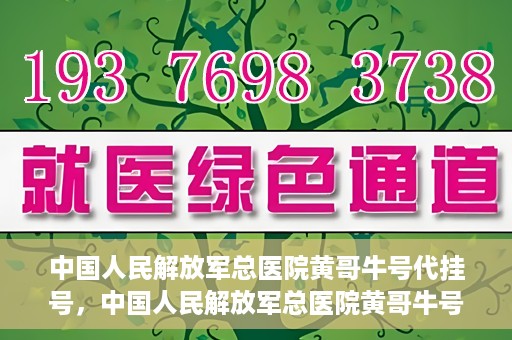 中国人民解放军总医院黄哥牛号代挂号，中国人民解放军总医院黄哥牛号代挂号解析，揭秘挂号背后的故事