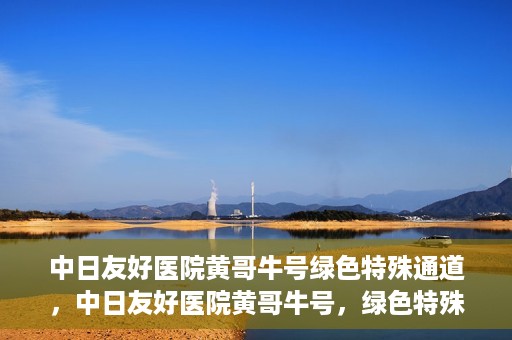 中日友好医院黄哥牛号绿色特殊通道，中日友好医院黄哥牛号，绿色特殊通道开启健康之门