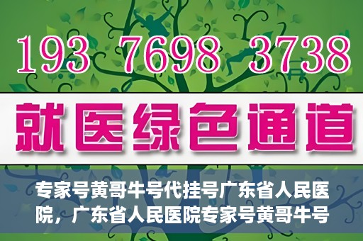 专家号黄哥牛号代挂号广东省人民医院，广东省人民医院专家号黄哥牛号代挂号服务解析