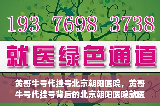 黄哥牛号代挂号北京朝阳医院，黄哥牛号代挂号背后的北京朝阳医院就医现象观察