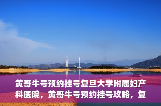 黄哥牛号预约挂号复旦大学附属妇产科医院，黄哥牛号预约挂号攻略，复旦大学附属妇产科医院就医指南