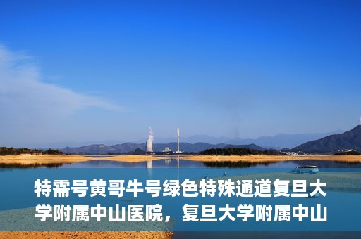特需号黄哥牛号绿色特殊通道复旦大学附属中山医院，复旦大学附属中山医院特需绿色特殊通道——黄哥牛号专案解析