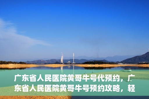 广东省人民医院黄哥牛号代预约，广东省人民医院黄哥牛号预约攻略，轻松掌握预约流程