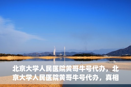 北京大学人民医院黄哥牛号代办，北京大学人民医院黄哥牛号代办，真相揭秘与深度解读