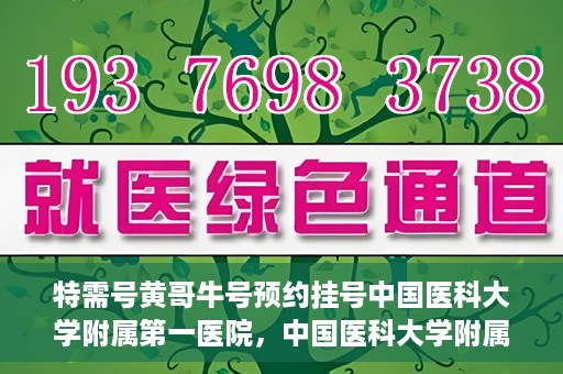 特需号黄哥牛号预约挂号中国医科大学附属第一医院，中国医科大学附属第一医院特需号黄哥牛预约挂号攻略