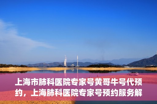 上海市肺科医院专家号黄哥牛号代预约，上海肺科医院专家号预约服务解析，黄哥牛号代预约详解