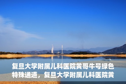 复旦大学附属儿科医院黄哥牛号绿色特殊通道，复旦大学附属儿科医院黄哥牛号，绿色特殊通道的温暖守护