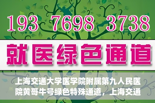 上海交通大学医学院附属第九人民医院黄哥牛号绿色特殊通道，上海交通大学医学院附属第九人民医院黄哥牛号，绿色特殊通道开启健康之门
