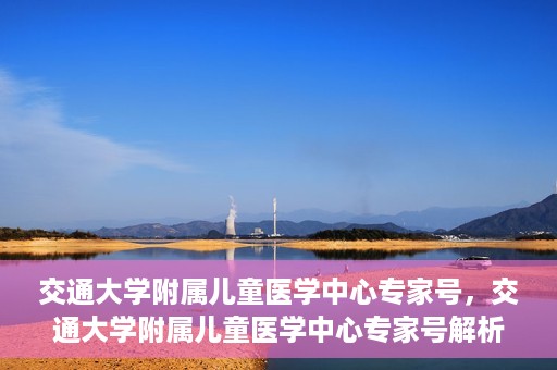 交通大学附属儿童医学中心专家号，交通大学附属儿童医学中心专家号解析，权威专家团队守护儿童健康之路
