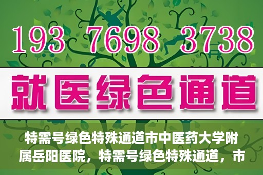 特需号绿色特殊通道市中医药大学附属岳阳医院，特需号绿色特殊通道，市中医药大学附属岳阳医院的医疗特色与优势