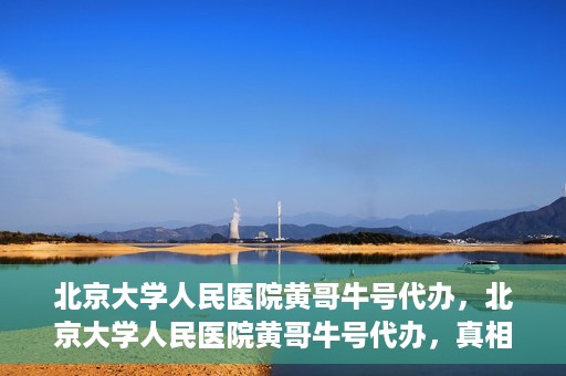 北京大学人民医院黄哥牛号代办，北京大学人民医院黄哥牛号代办，真相揭秘与深度解读