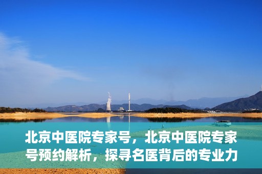 北京中医院专家号，北京中医院专家号预约解析，探寻名医背后的专业力量