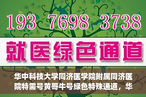 华中科技大学同济医学院附属同济医院特需号黄哥牛号绿色特殊通道，华中科技大学同济医院特需号黄哥牛号绿色就医通道揭秘