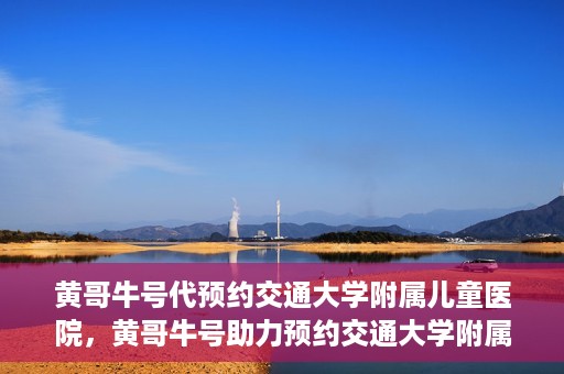 黄哥牛号代预约交通大学附属儿童医院，黄哥牛号助力预约交通大学附属儿童医院专业服务