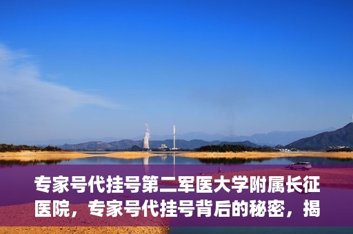 专家号代挂号第二军医大学附属长征医院，专家号代挂号背后的秘密，揭秘长征医院的医疗专家资源与服务体验