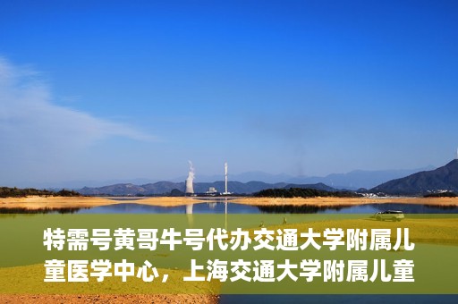 特需号黄哥牛号代办交通大学附属儿童医学中心，上海交通大学附属儿童医学中心特需号代办服务黄哥牛号一站式服务体验