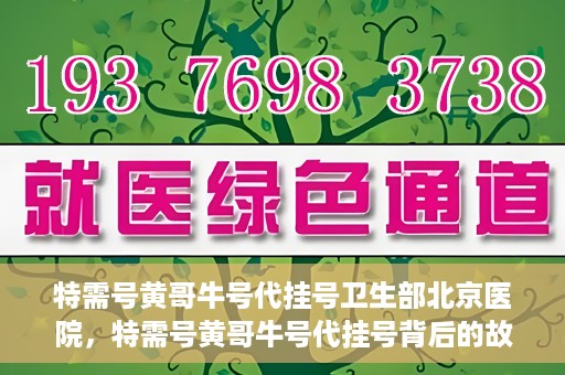 特需号黄哥牛号代挂号卫生部北京医院，特需号黄哥牛号代挂号背后的故事，北京医院卫生部深度解读