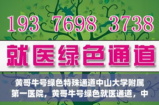 黄哥牛号绿色特殊通道中山大学附属第一医院，黄哥牛号绿色就医通道，中山大学附属第一医院的实践探索
