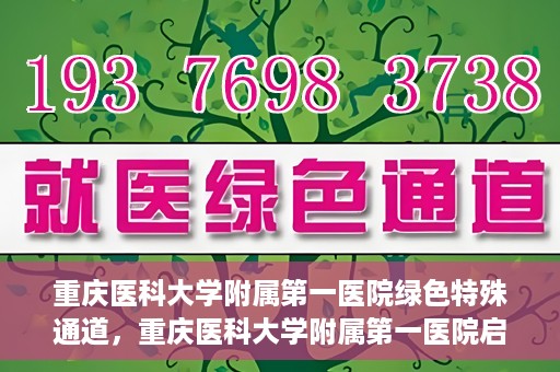 重庆医科大学附属第一医院绿色特殊通道，重庆医科大学附属第一医院启动绿色特殊通道，高效医疗服务的探索与实践