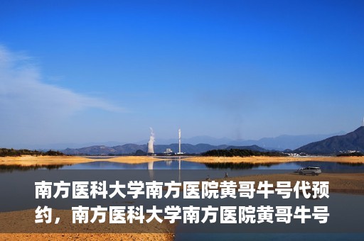 南方医科大学南方医院黄哥牛号代预约，南方医科大学南方医院黄哥牛号预约服务解析